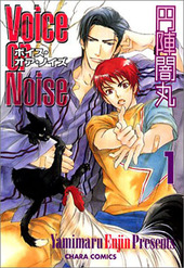 Voice or Noise