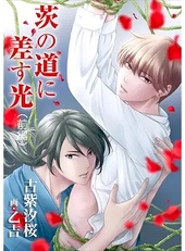 茨の道に差す光